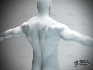 male body std mat printable 3D Print Model