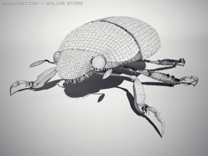 scarab 3D Model