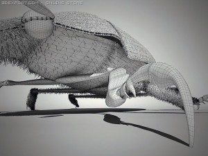 scarab 3D Model