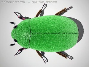 scarab 3D Model
