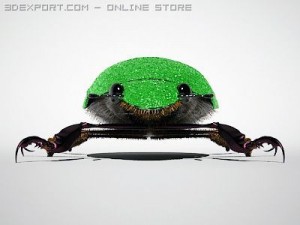 scarab 3D Model