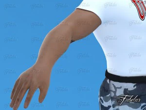 supporters coll 1 3D Model