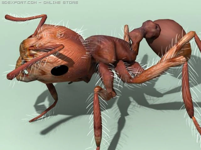 3d ants 3D Model .c4d .max .obj .3ds .fbx .stl .blend