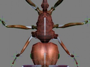 3d ants 3D 모델
