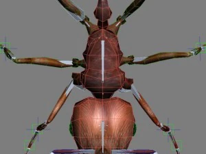 3d ants 3D Model