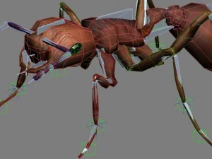 3d ants 3D Model