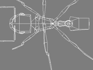 3d ants 3D Model