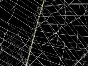 fern 3D Model