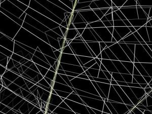 fern 3D Model