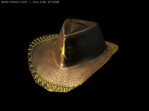 wild west hat 3D Model