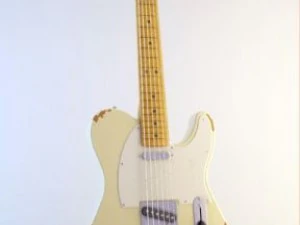 telecaster sepatbor Model 3D