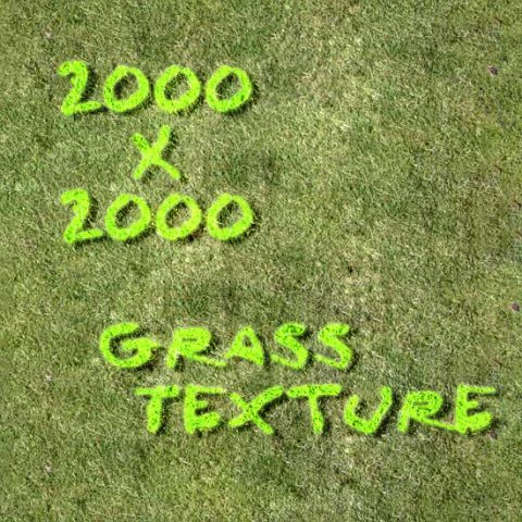 grass texture CG Textures .c4d .max .obj .3ds .fbx .stl .blend 