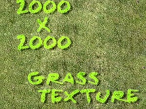 grass texture CG Texturen