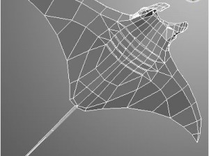 manta 3D Модель