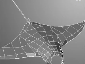 manta 3D Model