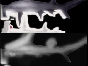 hammerhead shark 3D Model