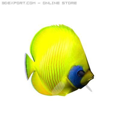 Tropical fish chaetodon 3D 모델 .c4d .max .obj .3ds .fbx .stl .blend 