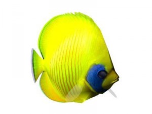 tropical fish chaetodon 3D Model