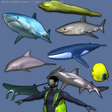 sea life collection 3D Model .c4d .max .obj .3ds .fbx .stl .blend 