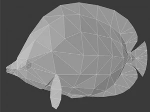 kolekcja życia morskiego Model 3D