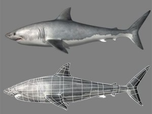 sea life collection 3D Model