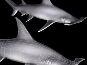 sea life collection 3D Model