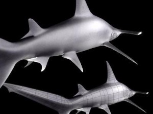 sea life collection 3D Model