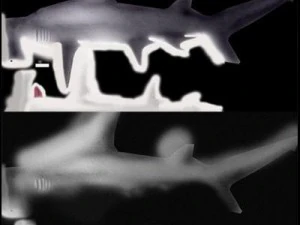 kolekcja życia morskiego Model 3D