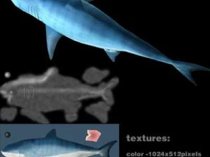 kolekcja życia morskiego Model 3D