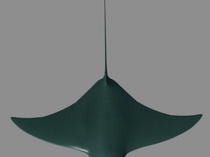 sea life collection 3D Model