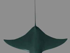 kolekcja życia morskiego Model 3D