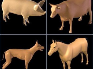 animal collection 3D Model