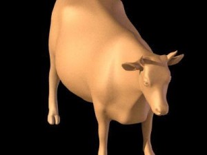 animal collection 3D Modell