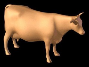 animal collection 3D Modell