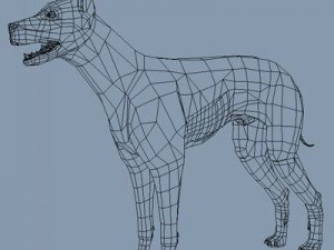 animal collection 3D Modell