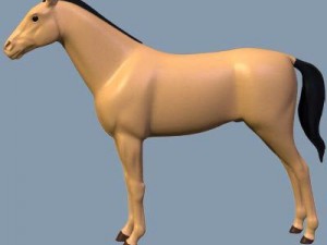 animal collection 3D Modell