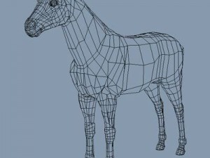 animal collection 3D Modell