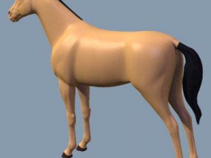 horse 3D Model
