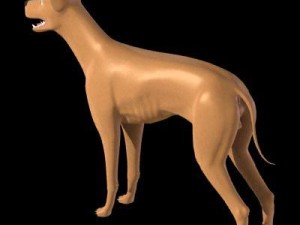 dog 3D Model