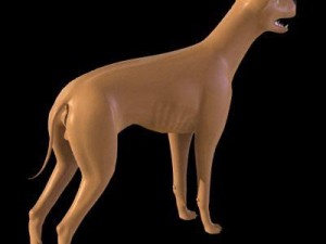 dog 3D Model