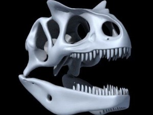allosaurus dinosaur skull 3D Модель
