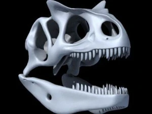 allosaurus dinosaur skull 3D Model