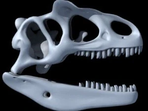 allosaurus dinosaur skull 3D Model