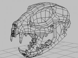 cat skull Model 3D