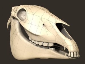 horse skull 3D Model