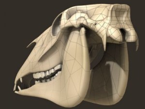 horse skull 3D Model