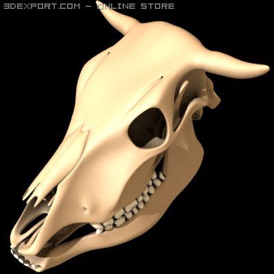 cow skull 3D Model .c4d .max .obj .3ds .fbx .stl .blend 