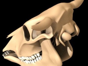 cow skull 3D Model