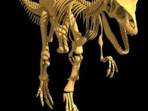 Allosaurus-Dinosaurier-Skelett 3D Modell