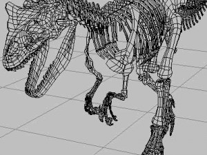 allosaurus dinosaur skeleton 3D Model